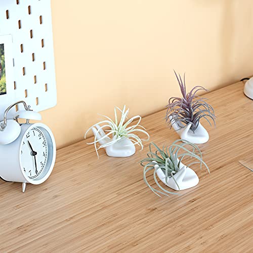 Dahey Air Plant Holder Cute Ceramic Mini Hand Shape Stand Airplants Tillandsia Small Container Pot Plant Decorative Home Decor For Desk Table Shelf,White,3 Packs #TOP1