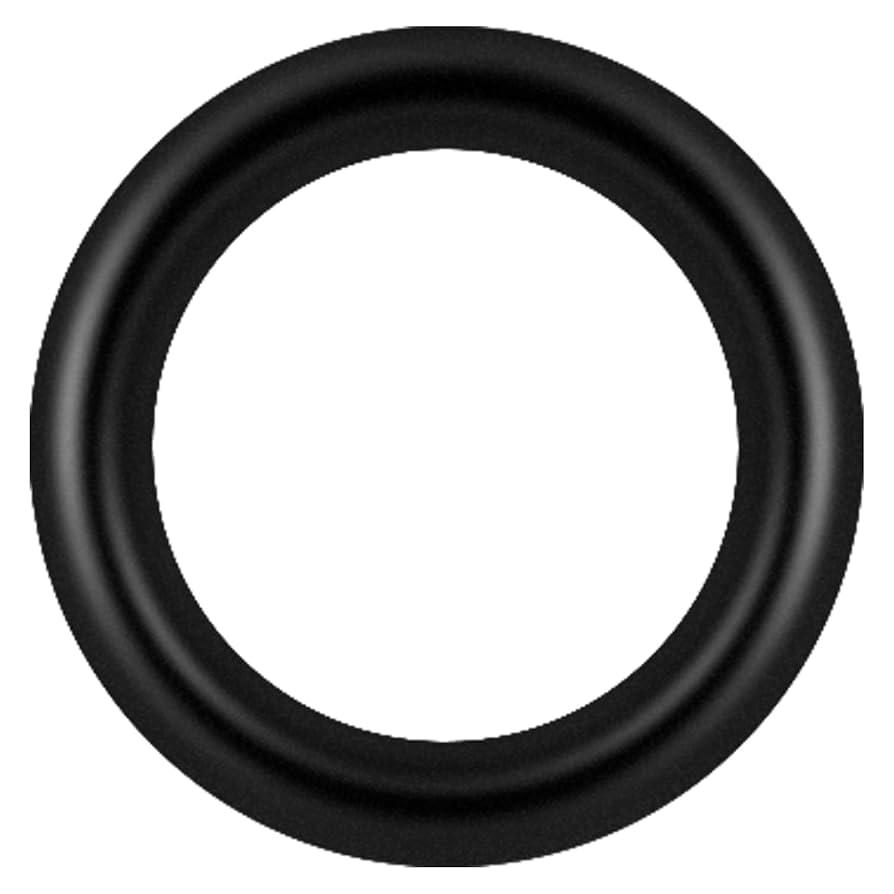 (未使用･未開封品)　G2 FLUORO RUBBER RING (P5) 2pic OR-GD-001 0pbj0lf OR-GD-001 G2 FLUORO RUBBER RING (P5) 2pic | RCn