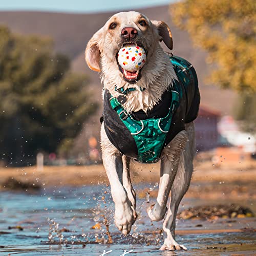 Qiyadin Pet Dog Ball Toys For Aggressive Chewers, Indestructible Durable Interactive Balls For Dogs Playing, Environmentally Friendly Safe Bouncy Etpu Ball For Training (Dark Blue, Sky Blue) #TOP5