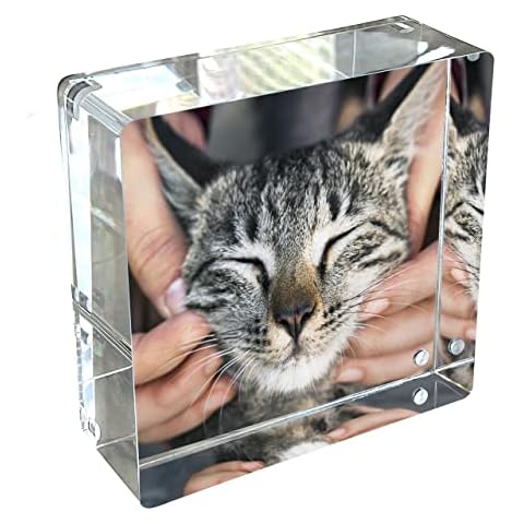 Canetti Prestige Picture Frame - Double Sided Magnetic Picture Frame for Home Decor Cover