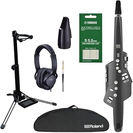 春色3カラー✧ Roland Aerophone AE-10G スタンド付き - その他