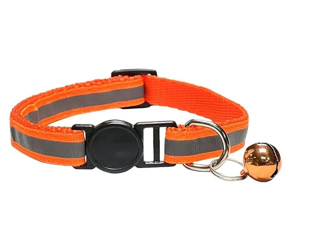 Foto 2 de 4 de Girafus Collar Gato Personalizado con Nombre y Teléfono Naranja
