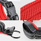 PJDDP Hundehalsband Mit Einziehbarer Hundeleine 2 in 1, Haustierhalsband Mit Schnellverschluss Reflektierende Verstellbares Hundetrainingshalsbänder Für Mittlere Und Kleine Hunde Walking/Wandern,M