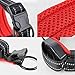 PJDDP Hundehalsband Mit Einziehbarer Hundeleine 2 in 1, Haustierhalsband Mit Schnellverschluss Reflektierende Verstellbares Hundetrainingshalsbänder Für Mittlere Und Kleine Hunde Walking/Wandern,M
