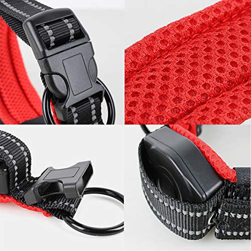 PJDDP Hundehalsband Mit Einziehbarer Hundeleine 2 in 1, Haustierhalsband Mit Schnellverschluss Reflektierende Verstellbares Hundetrainingshalsbänder Für Mittlere Und Kleine Hunde Walking/Wandern,M