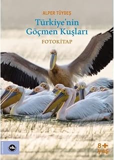 Türkiye’nin Göçmen Kuşları: Fotokitap