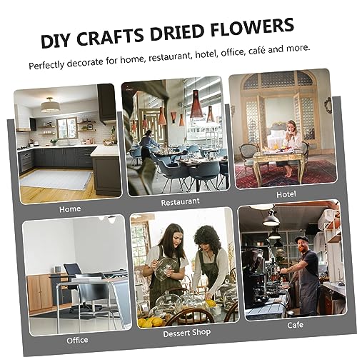 Flores secas para manualidades PRETYZOOM assorted pack miniatura 7