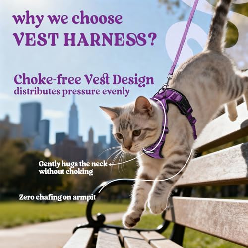 Image of rabbitgoo Cat Harness and Leash Set, Escape Proof Vest, Purple