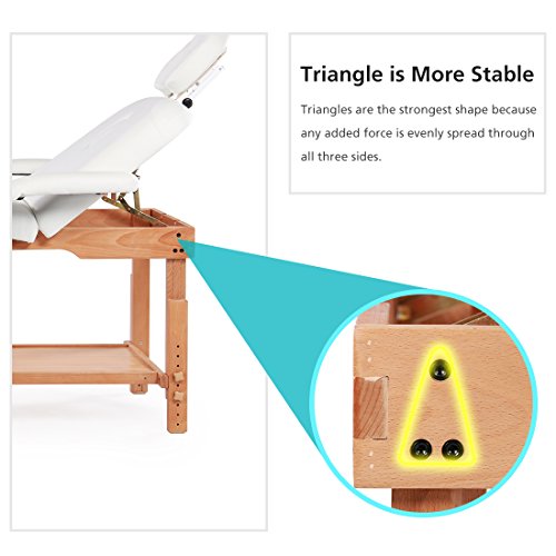 Massage Table Bed Stationary Professional Tilt Adjustable with Storage 3 Section (White)