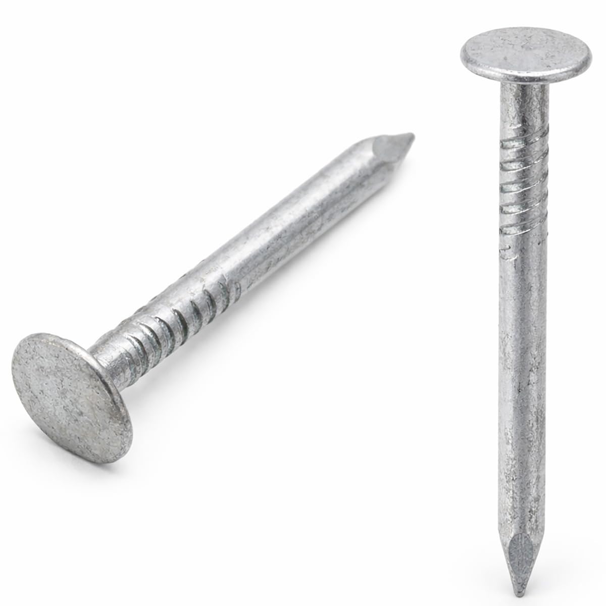 Screws City Bright Zinc 3Mm X 30Mm Galvanised Roof Nails Large Head Felt Clout Bright Finish Felt Tacks (Pack Of 100) D11b