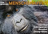 14 Seiten bestehend aus 1 Coverbild | 12 Monatsbilder | 1 Indexseite. Inklusive Papprücken hinten und vorderseitig einer Klarsichtfolie.