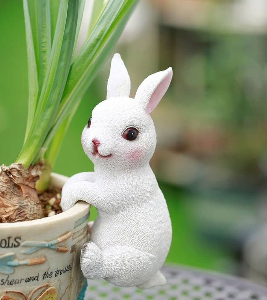 51qBQzJl-CL._AC_UF894,