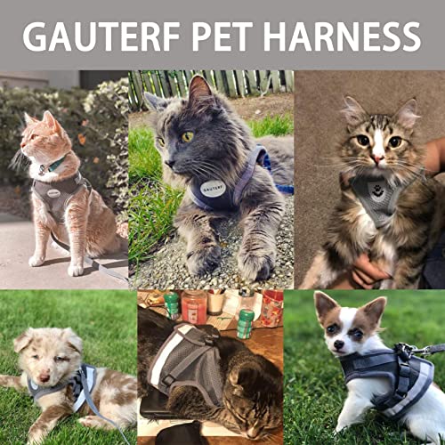 Puppy Harness With Leashes Set, Escape Proof Cat Harness, Adjustable Reflective Soft Mesh Vest Fit Puppy Kitten Rabbit's Outdoor Dog Harness (Dark Gray, Xl, Chest: 18" - 20") #TOP2