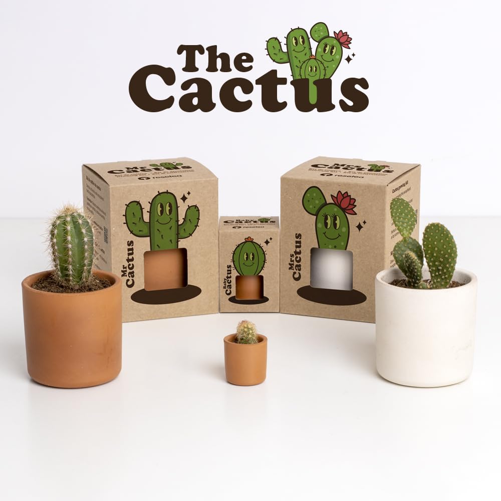 Baby Cactus – Kit de Cultivo de Cactus con Maceta de Barro Artesanal | Fácil de Cuidar | Regalo Original y Decorativo | Resetea