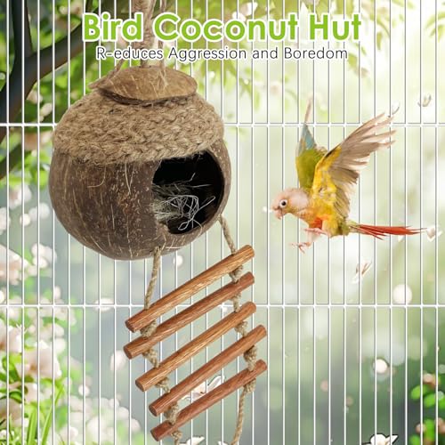 Image of Tfwadmx Coconut Bird Nest Hut with Ladder Natural Coconut Fiber Shell Hanging Coco Birds House Parrot Cage Decor for Parrot Cockatiel Lovebird Finch