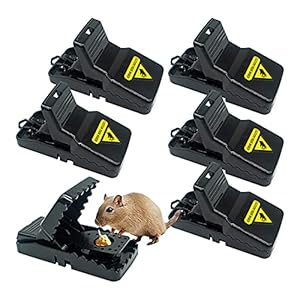 HomeRevel- Reusable Mouse Trap, 6 Pack Mouse Traps for Indoors and Outdoors That Kill Instantly, Quick, Effective and…