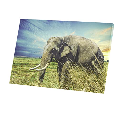 Tableau elephant d'Asie decoration interieure sereine et nature sauvage