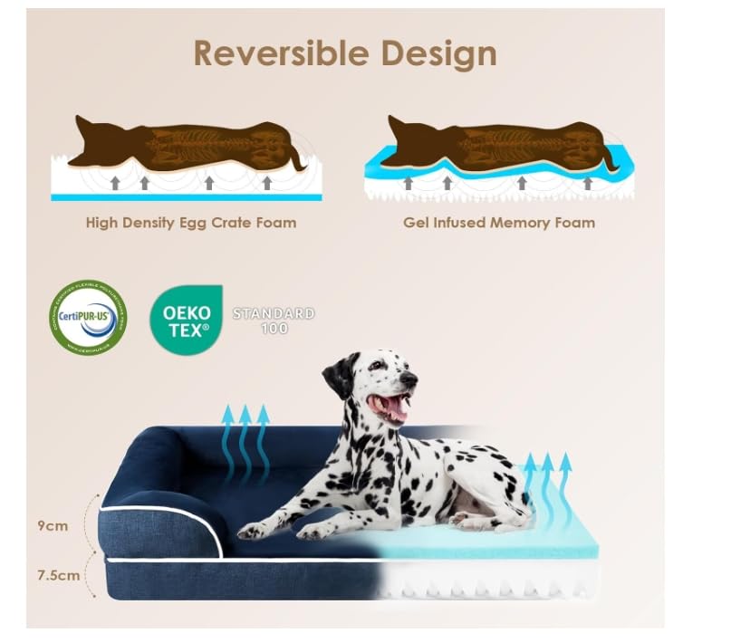 Panier chien mémoire de forme XL avec mousse orthopédique