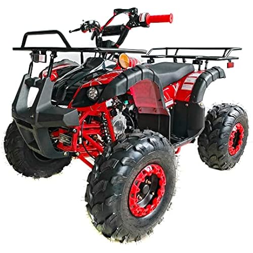 TAO TAO Brand UTILITY Model # ATA-125D - 110cc engine with REVERSE