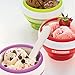 Zoku Endless Summer, Ice Cream Recipe Cookbook