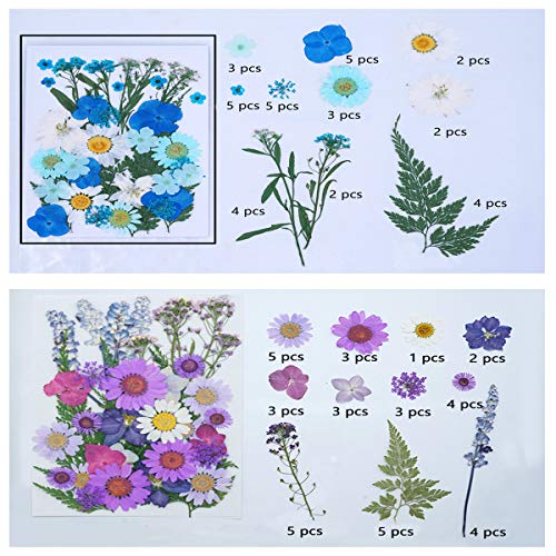 Natural Dried Pressed Flowers 73 pcs Mixed Multiple Real Dried Flowers Leaves for DIY Candle Resin Jewelry Nail Pendant Crafts Making Art Floral Decors