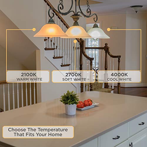 LED A19 Light Bulbs: 6 Watt - 2700K Warm Lightbulbs - 60W Equivalent - Classic Clear Glass Dimmable LED Light Bulbs - E26 LED Bulb Base - Vintage Light Bulb Set - 6 Pack - Image 5