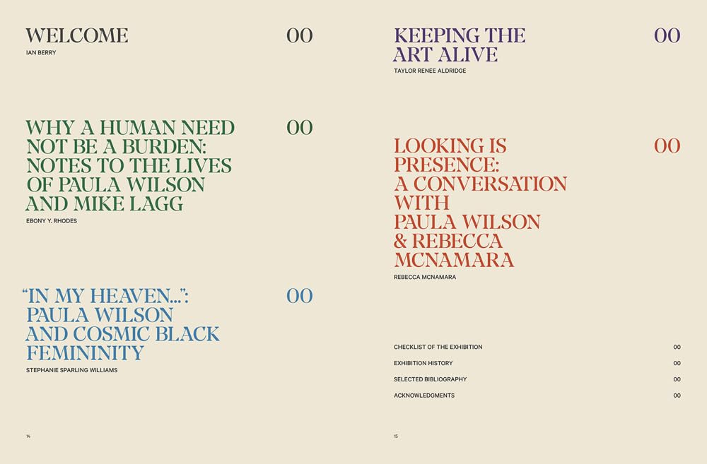 Paula Wilson: Toward the Sky’s Back Door - Image 3