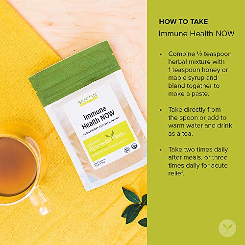Banyan Botanicals Immune Health Now – Organic Herbal Immune Booster - Powdered Mix Of Herbs For Lungs, Respiratory & Immune System Support* – 3.5Oz – Non Gmo Sustainably Sourced Vegan #TOP2