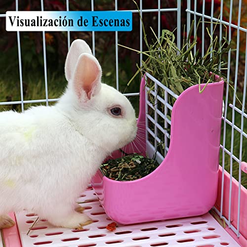 Catálogo de Cuyo . 18 Imagen adicional