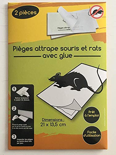 2 PIEGE A SOURIS ET RAT AVEC GLUE RONGEUR 21 X 13.5 CM PRET A L EMPLOI