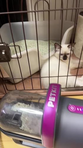 PETKIT 5 in 1 多機能バリカン 犬猫用 Amazon.co.jp: PETKIT バリカン 犬猫用 5 in 1 多機能 ペット