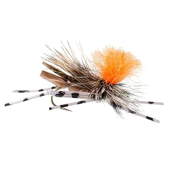 NATIVE　A FLY FISHER'S VIEW THE COMPLETE FLY FISHER - Lodge Reviews (Wise River, MT)