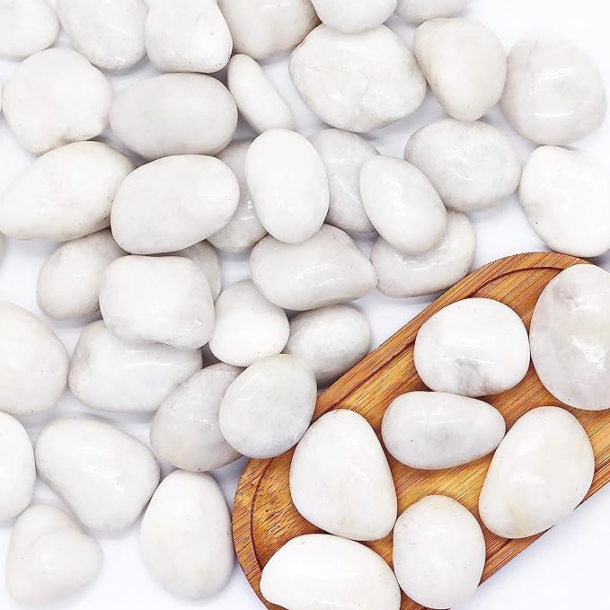 Image of Decorative Pebble Stones,For Garden /Lawn /Aquarium Decoration Glossy Stones For Home Decorative(6 Kg White Polish Jumbo)