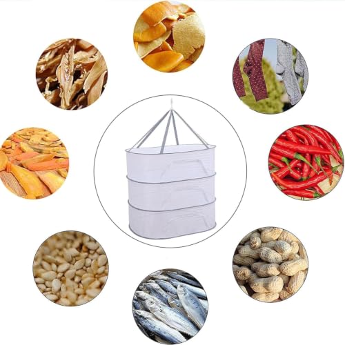 Image of Sun Drying Net - 3‑Layer Foldable Food Drying Rack, 50x70 cm Multilayer Hanging Mesh for Vegetables, Pulses, Herbs & Fruit - Indoor Hydroponics, Camping & Sun‑Drying