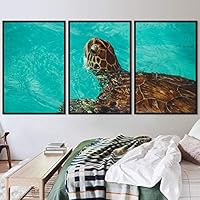 3 Piece Framed Canvas Wall Art Turtle Under The Surface Canvas Prints Home Artwork Decoration for Living Room,Bedroom - 16