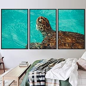 signwin 3 Piece Framed Canvas Wall Art Turtle...