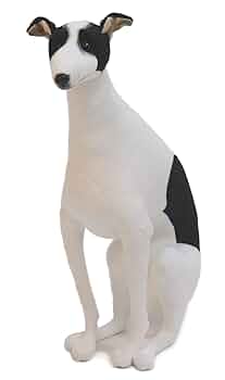 メルカリで1時間以内に売れなければ300円❗「幻のイタリアングレーハウンド」 メルカリで1時間以内に売れなければ❗「幻のイタリアングレー