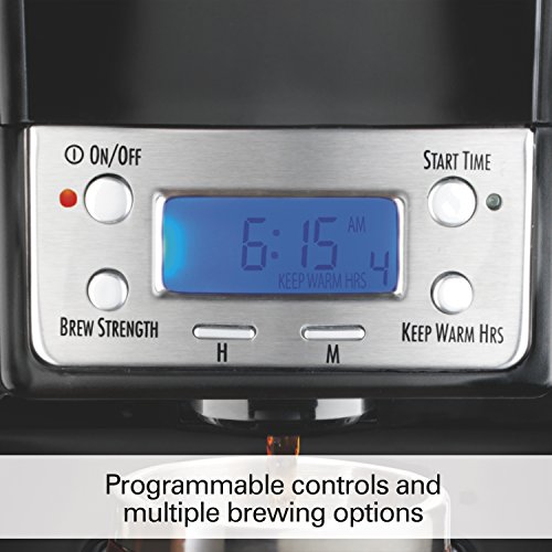 https://m.media-amazon.com/images/I/51qBn91a6GL._SL500_.jpg