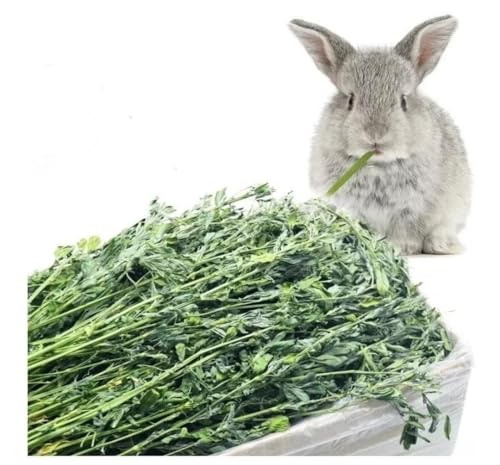 Cremas Y Lociones, Video On Demand Imagen adicional