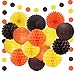 Thanksgiving Day Party Decorations Orange Yellow Brown Lanterns Paper Tissue Pom Poms Paper Fans For Autumn Harvest Birthday Happy Fall Party Supplies