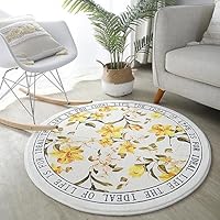 Amazon｜[DLAWF] 円形ラグ アジアン カラー8 北欧 おしゃれ な