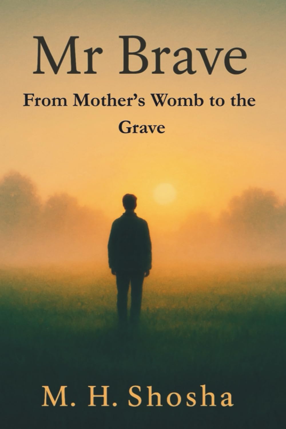 Mr Brave From Mother’s Womb to the Grave