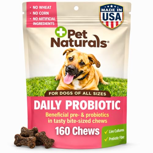 Pet Naturals Probiotics for Dogs – 160 Soft Chews, Dog Probiotic for Digestive & Gut Health Support with 120M CFUs + Prebiotics, Immune Support for Occasional Upset Stomach, Duck Flavor, All Breeds