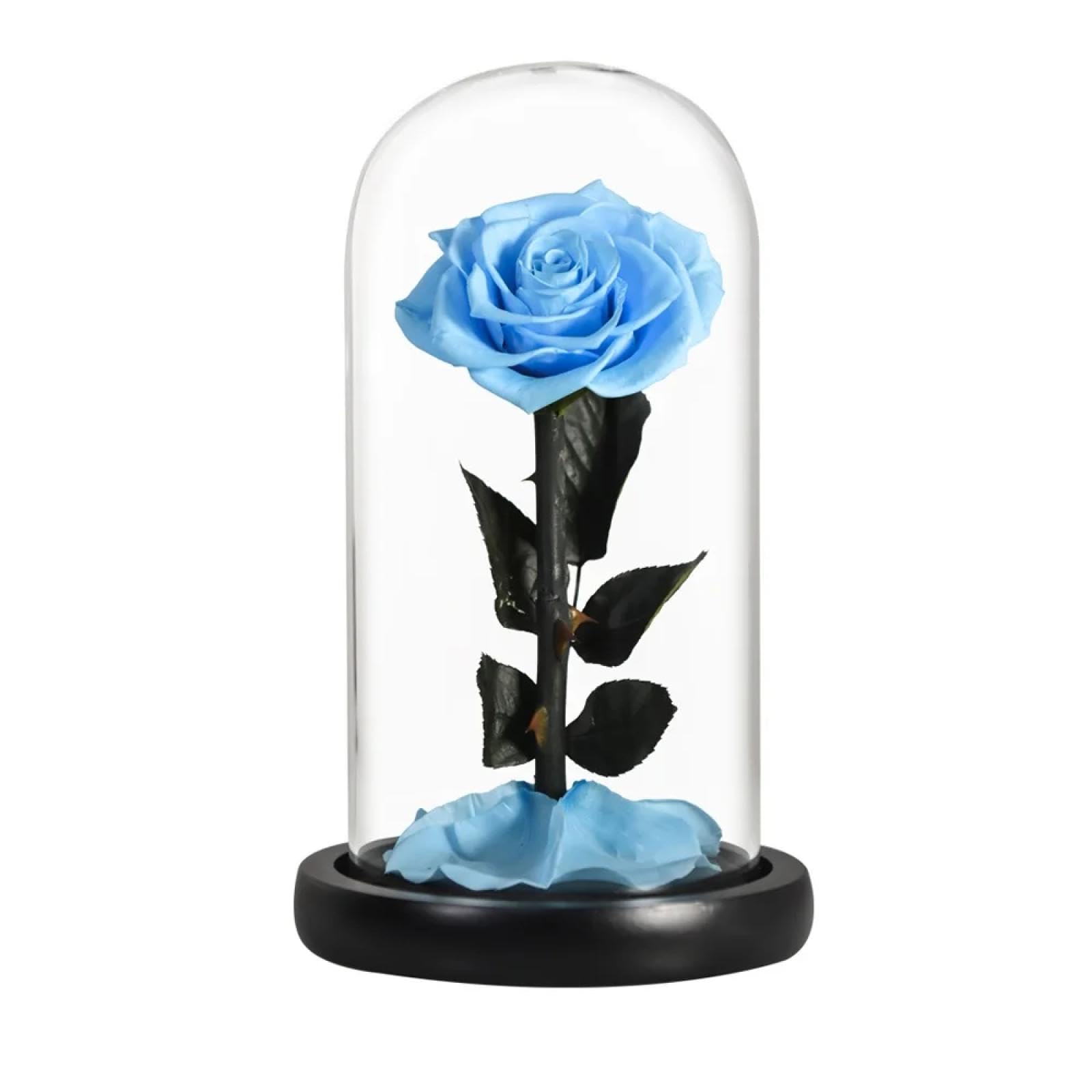Rosas preservadas eternas de alta calidad con cúpula de cristal decorativa DANETI