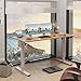 Furmax Electric Height Adjustable Standing Desk Large 55 x 24 Inches Sit Stand up Desk Home Office Computer Desk Memory Preset with T-Shaped Metal Bracket, Wood