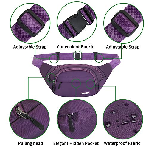 Bumbags voor dames en heren heuptas Fanny Pack met verstelbare elastische band 5 zakken met ritssluiting waterdichte loopbuidel voor honden wandelen, hardlopen, wandelen reizen en buitenactiviteiten, Paars, 26 x 21x 17 cm, - Image 4