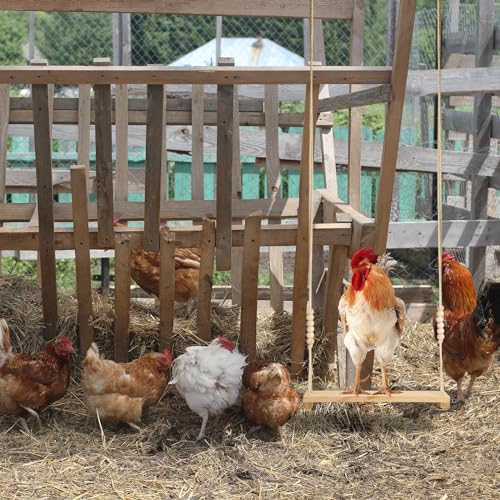 Image of NQEUEPN Chicken Swing Toy, Wooden Hen Swing Hanging Chicken Perch Ladder Swing Wood Stand Decorative Chicken Coop Accessories Toys Supplies for Rooster Chicken Owners & Lovers, Medium