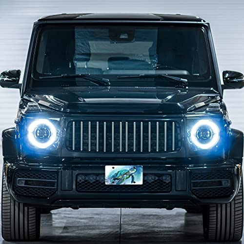 Front License Plate,Turtle Watercolor Decorative License Plates Cover Vanity Tag Metal Car Plate Aluminum Novelty License Plate 6 X 12 Inch (4 Holes) #TOP5