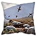 Julian Friers Housse de Coussin Motif tétras Rouge sur Moorland