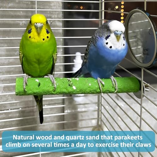Image of 10 PCS Bird Perch Parrot Stand Wood Parrot Perch Stand Platform Natural Paw Grinding Stick Bird Cage Accessories for Budgies Cockatiels Cockatoo Conure Parakeet